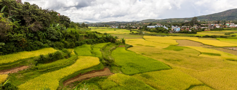 Voyage à Madagascar: découvrez les endroits incontournables à Antananarivo