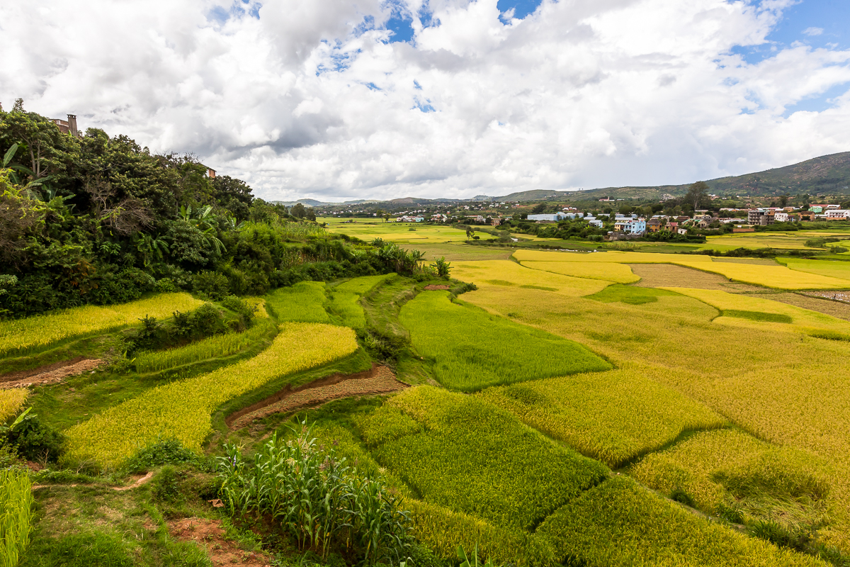 paysage de l'imerina