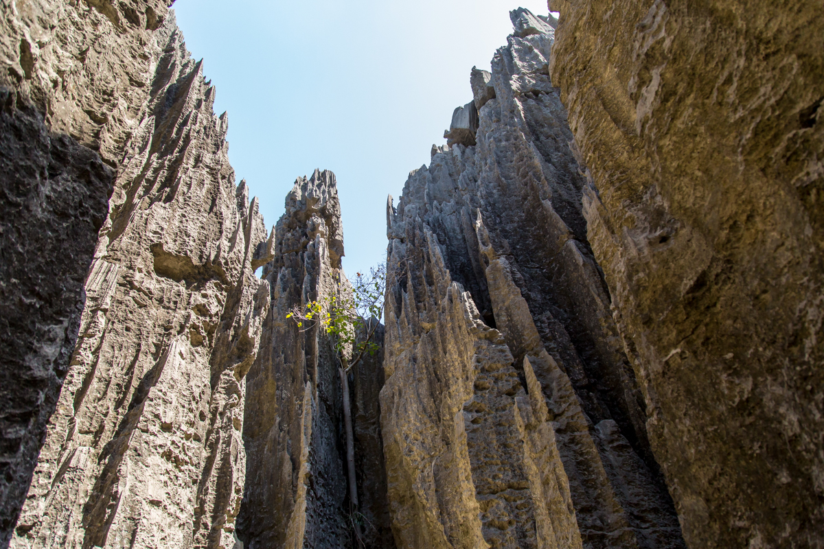 Tsingy de Bemaraha