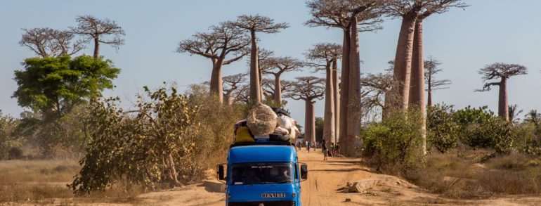 Les meilleures choses à faire à Morondava Madagascar