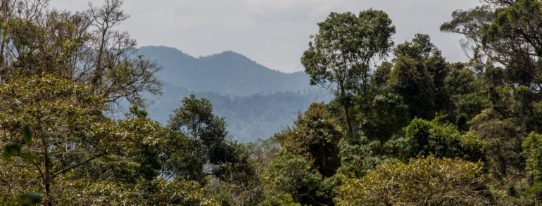 Voyage solo à Madagascar, ce qu’il faut savoir